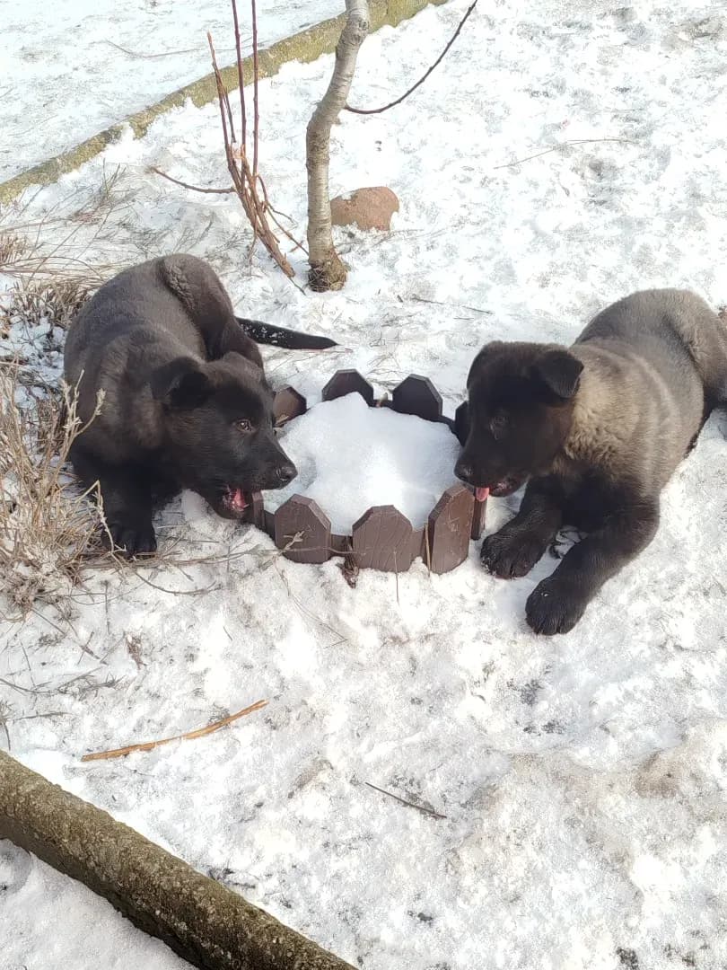 carousel-image-mobile-6