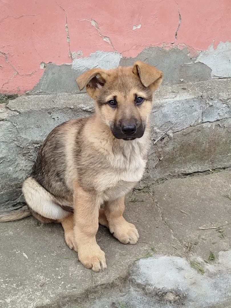 carousel-image-mobile-7