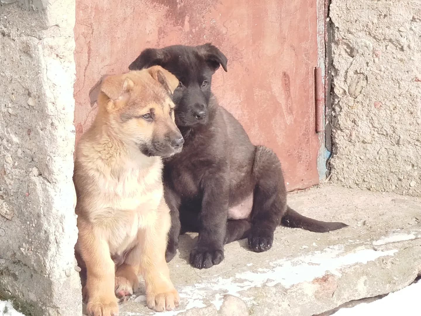 carousel-image-mobile-8