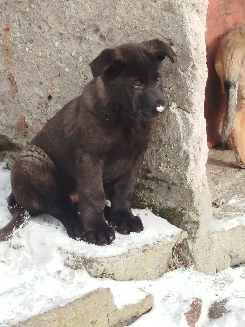 carousel-image-mobile-9