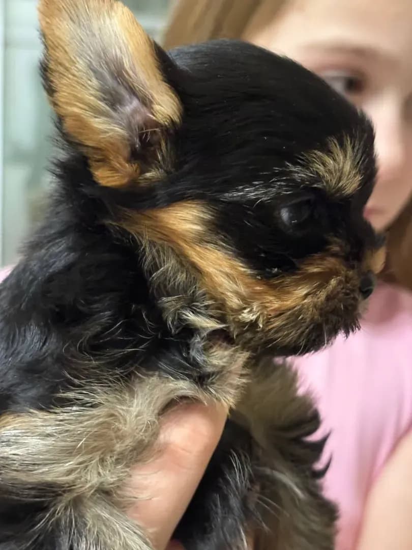 carousel-image-mobile-0