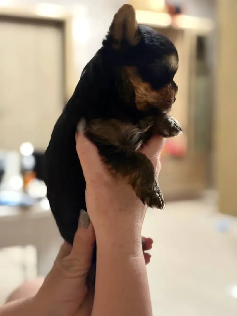 carousel-image-mobile-3