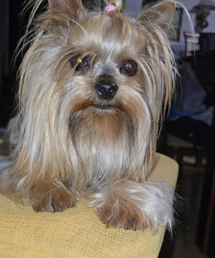 carousel-image-mobile-4