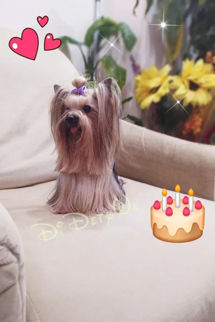 carousel-image-mobile-5