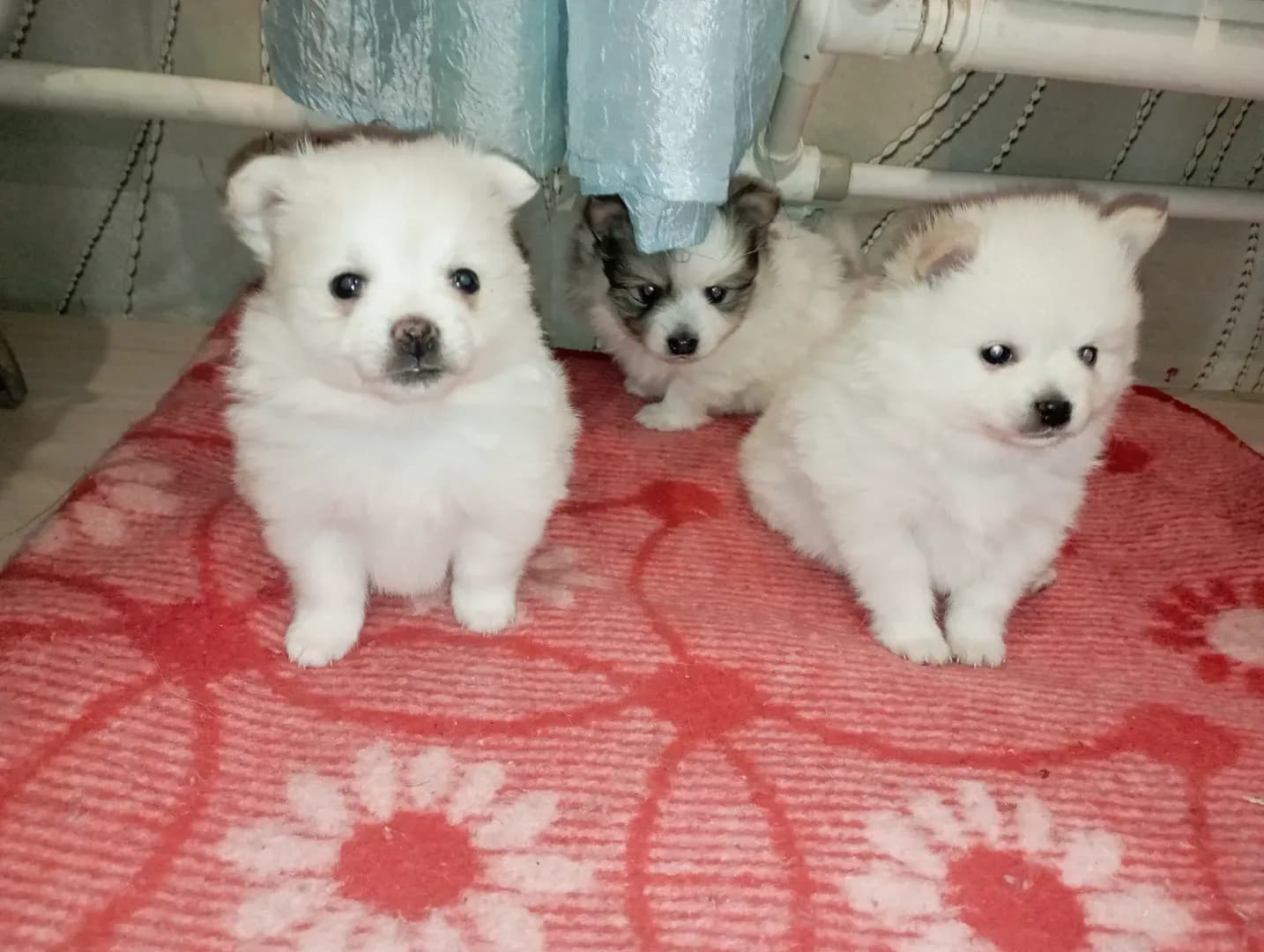 carousel-image-mobile-0