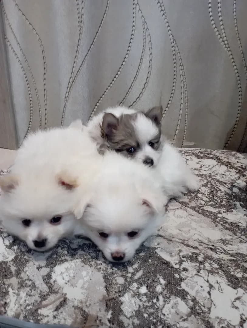 carousel-image-mobile-0