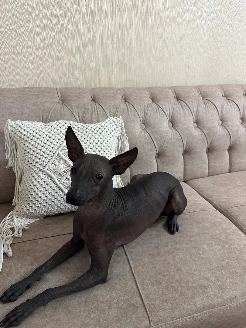 carousel-image-mobile-0