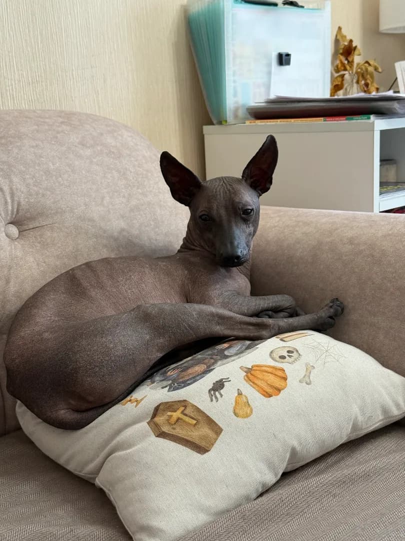 carousel-image-mobile-2