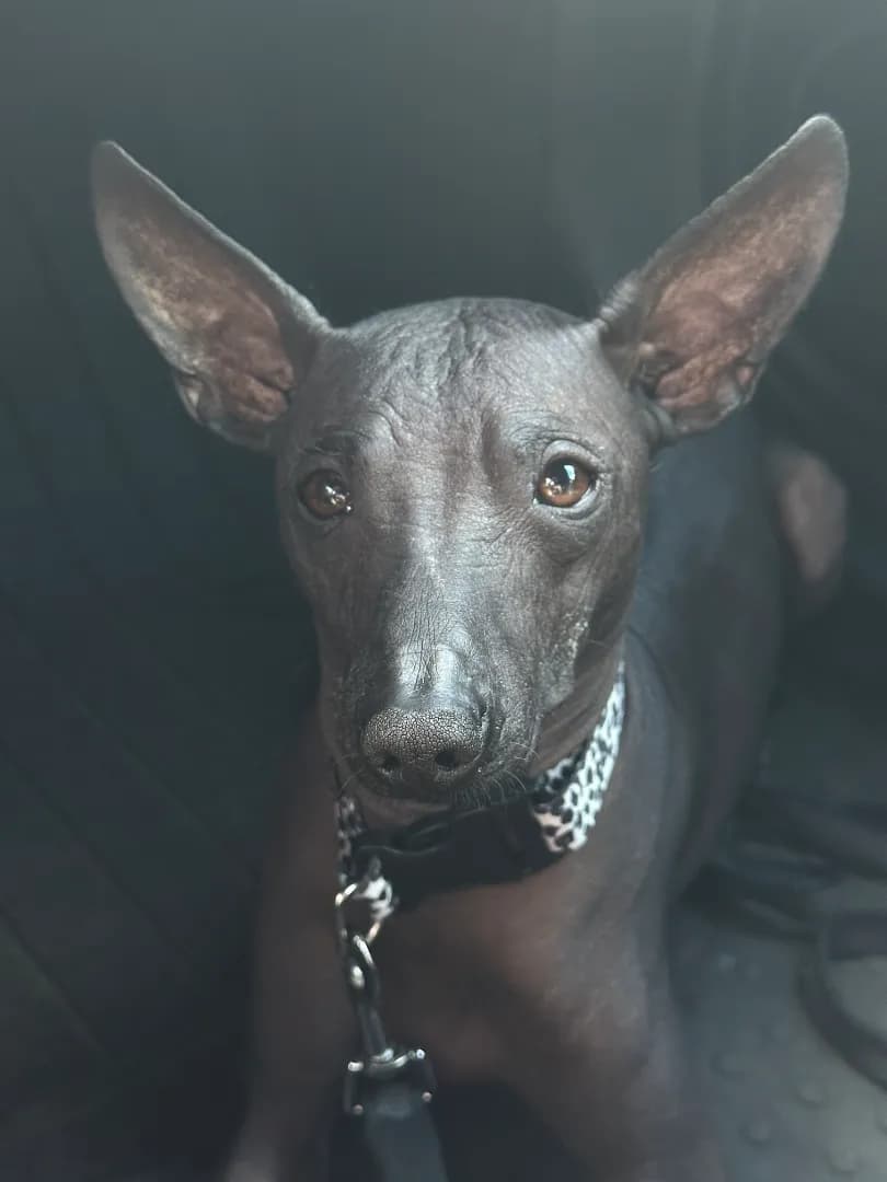 carousel-image-mobile-4