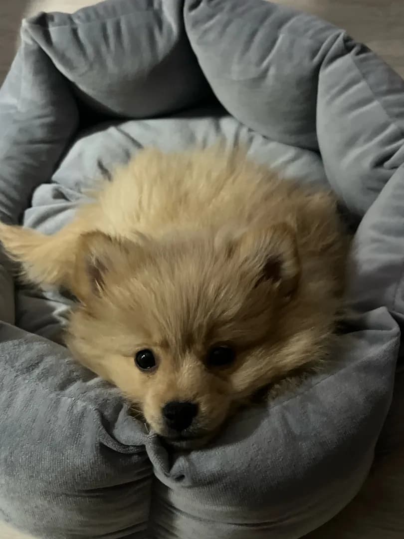 carousel-image-mobile-0