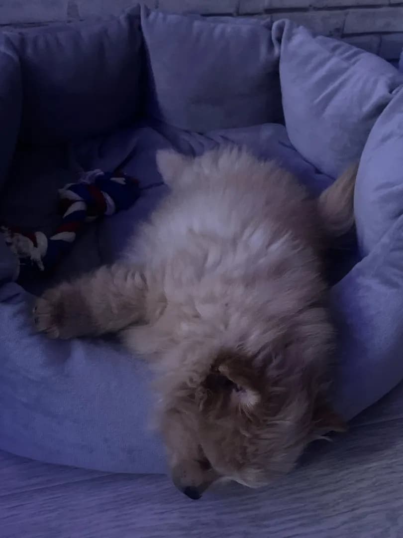 carousel-image-mobile-1