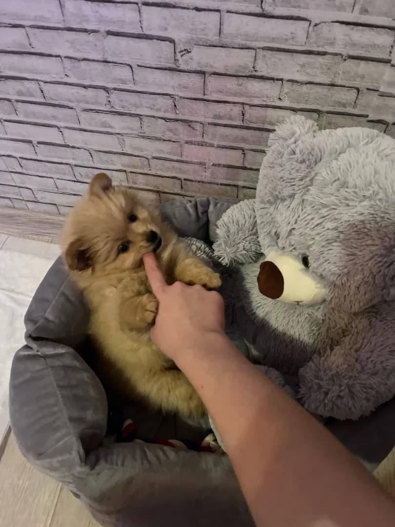 carousel-image-mobile-2