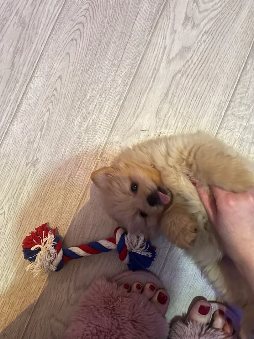 carousel-image-mobile-3