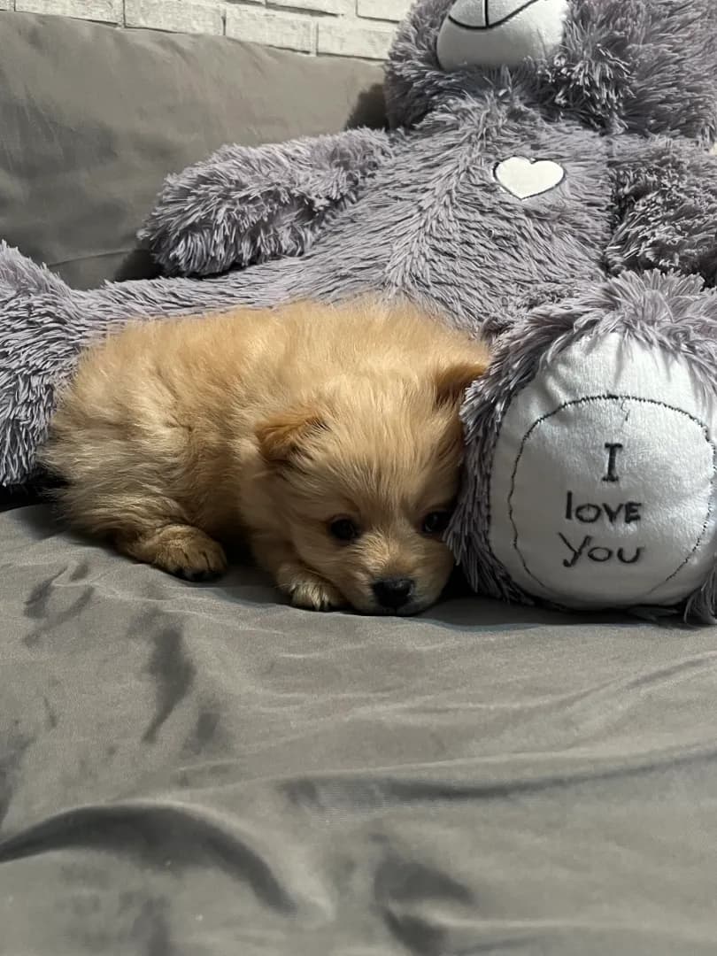 carousel-image-mobile-4