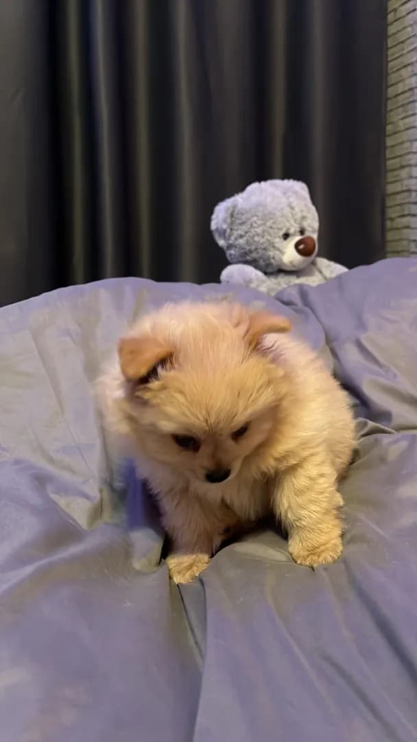 carousel-image-mobile-5