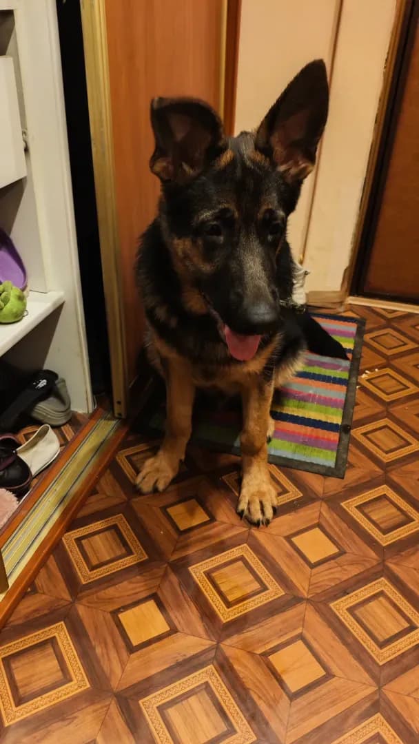 carousel-image-mobile-0