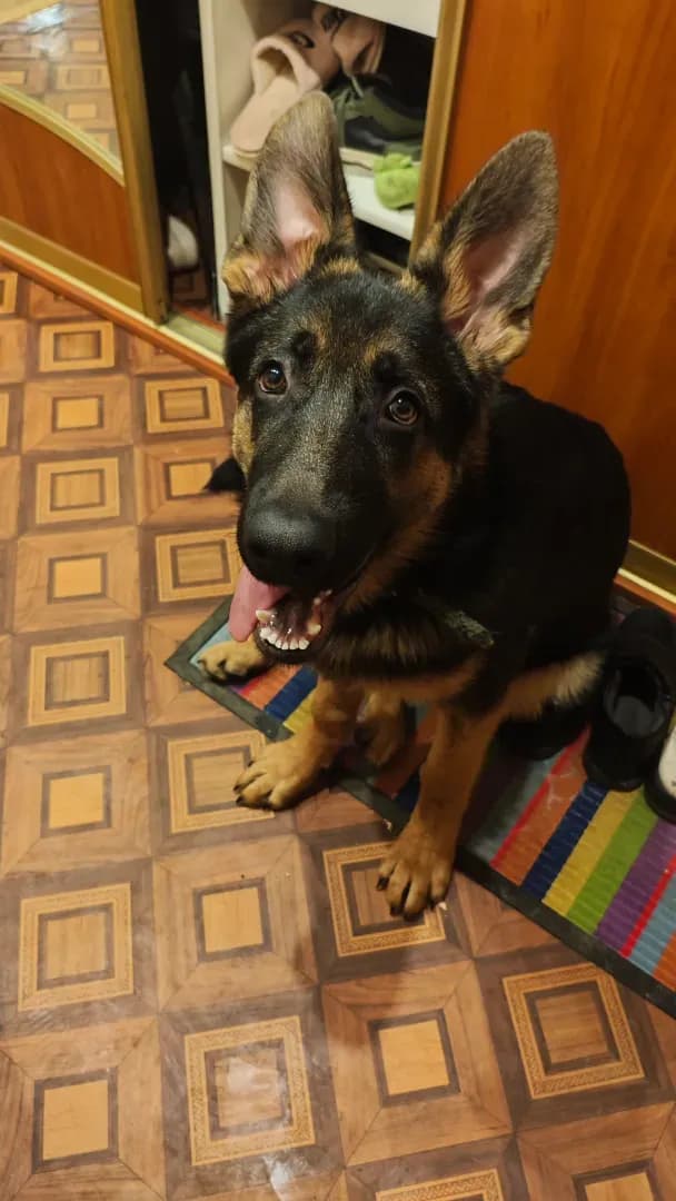 carousel-image-mobile-1