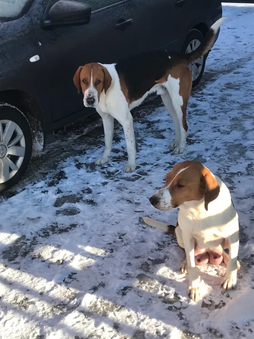 carousel-image-mobile-0