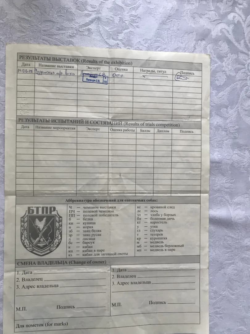 carousel-image-mobile-1