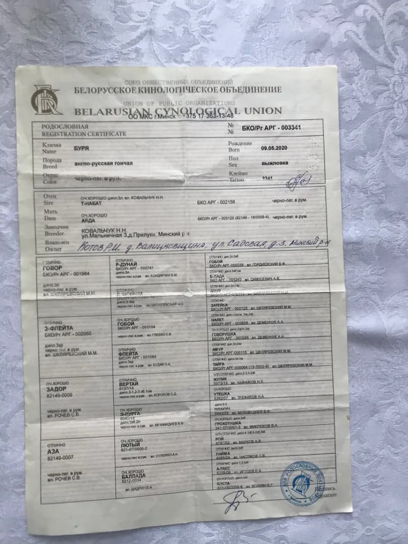 carousel-image-mobile-2