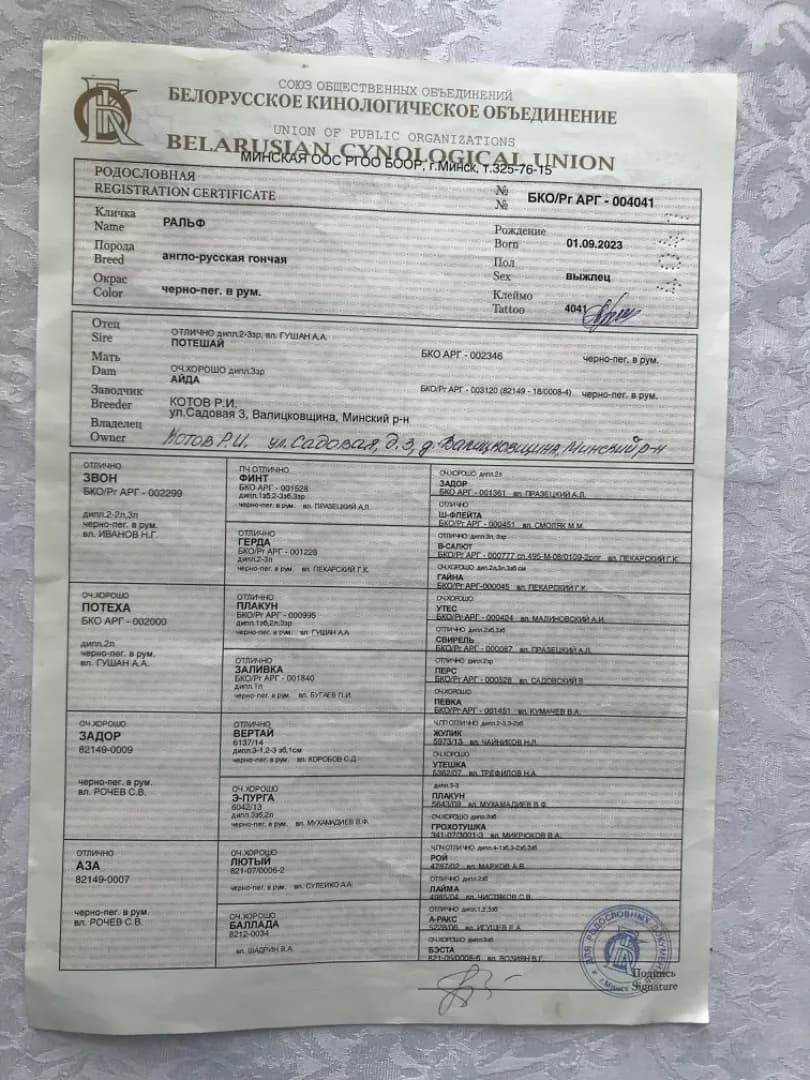 carousel-image-mobile-4