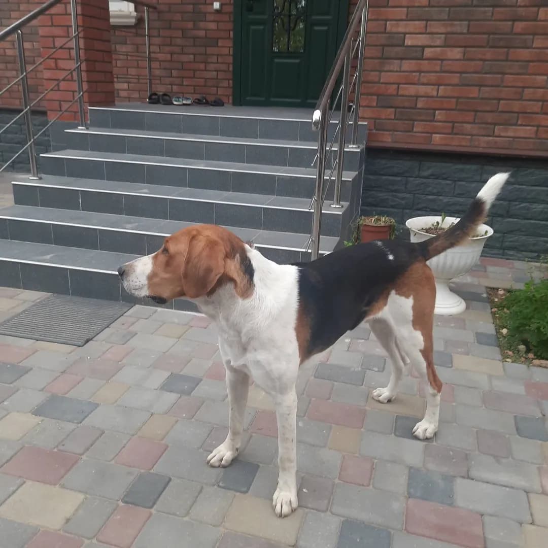 carousel-image-mobile-4