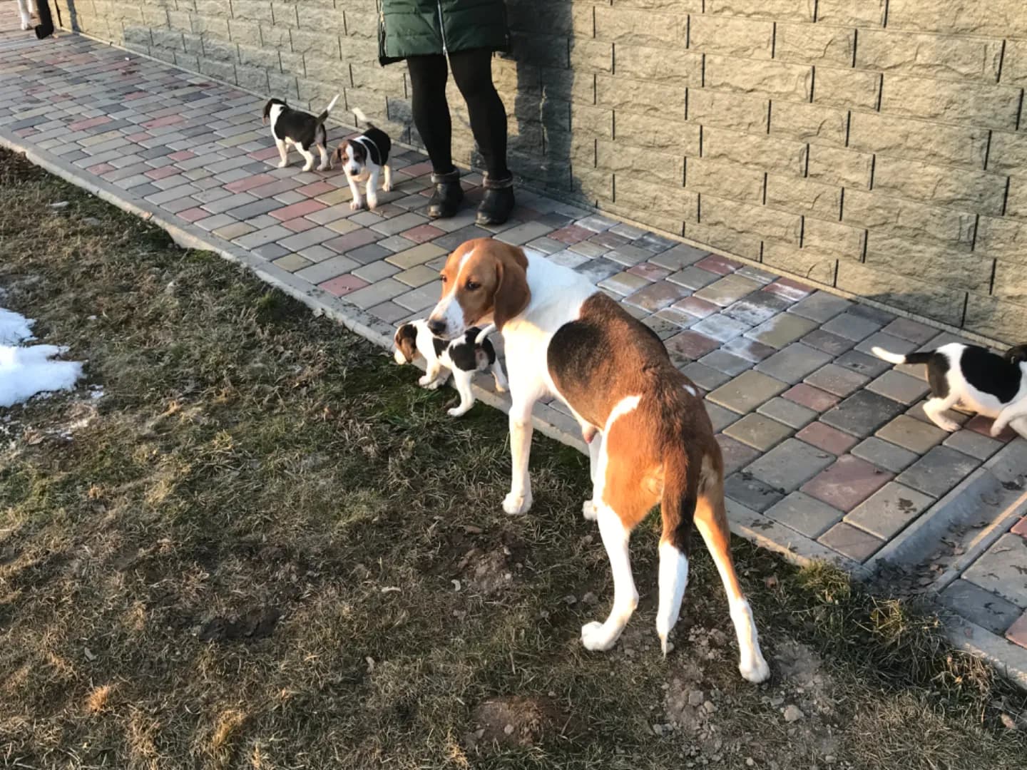 carousel-image-mobile-5