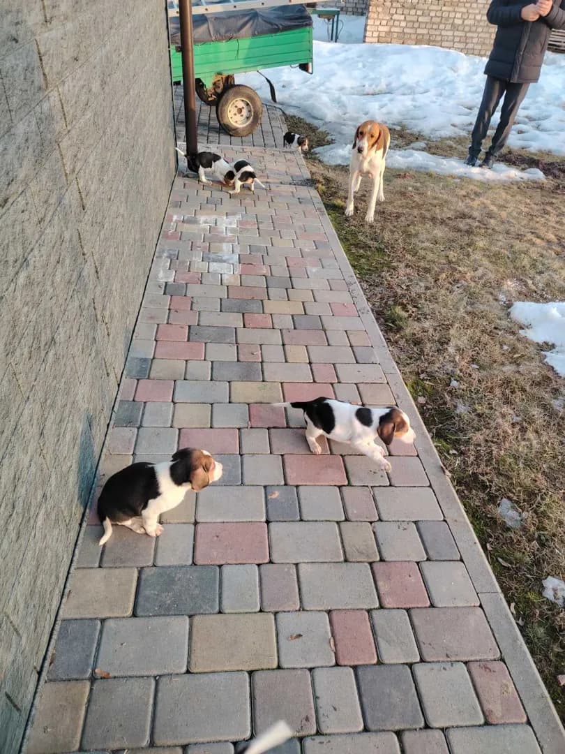 carousel-image-mobile-6