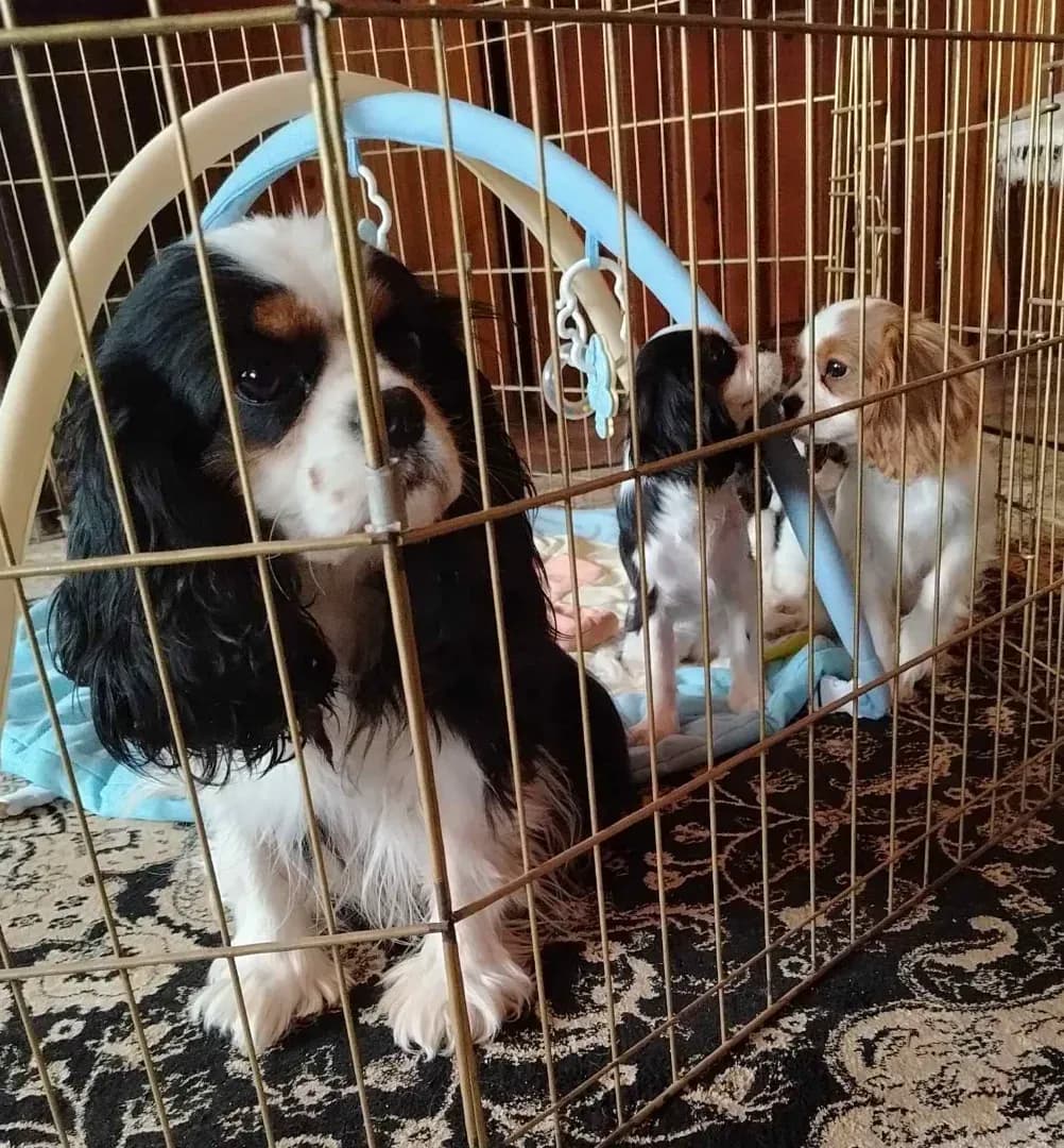 carousel-image-mobile-1