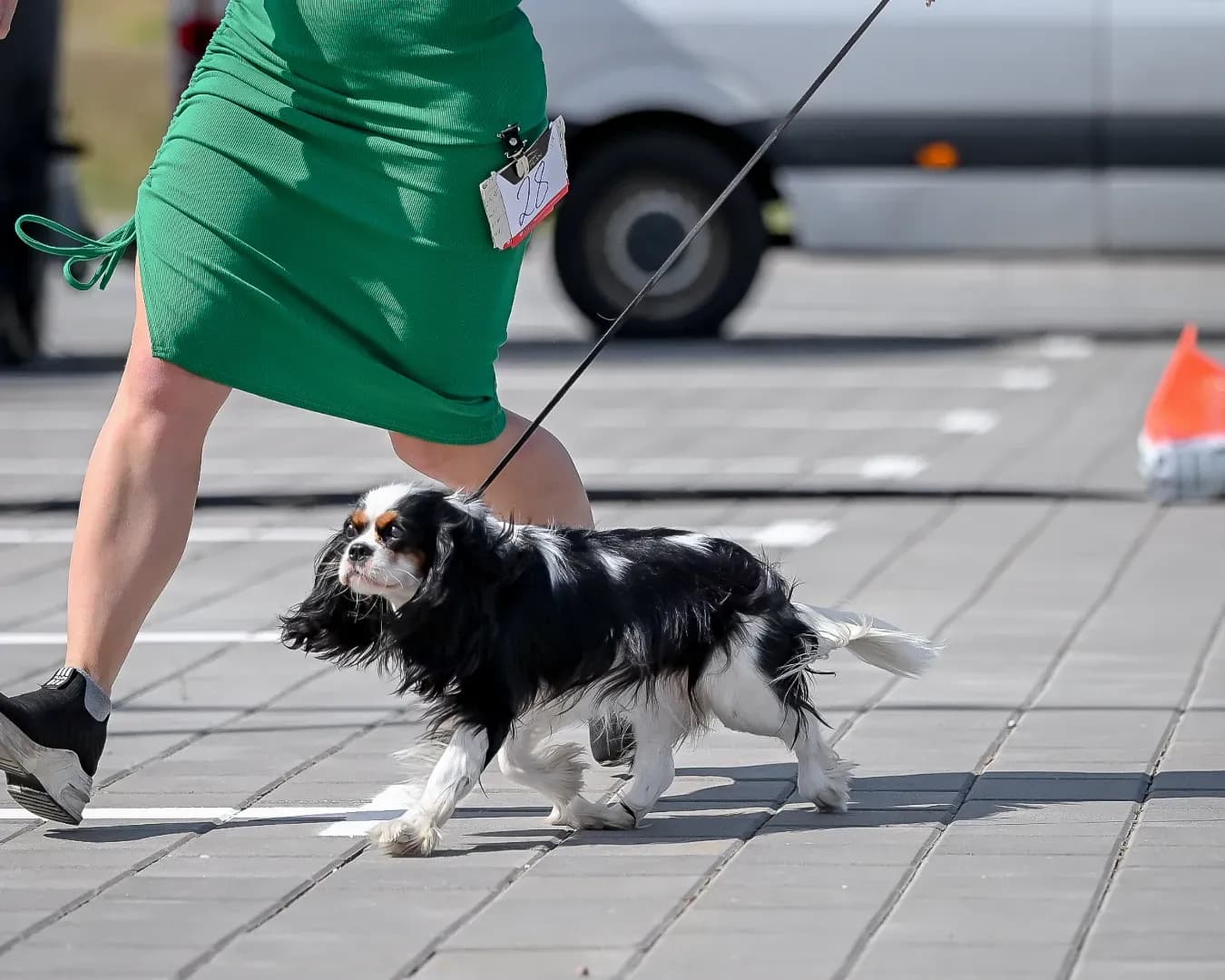 carousel-image-mobile-2