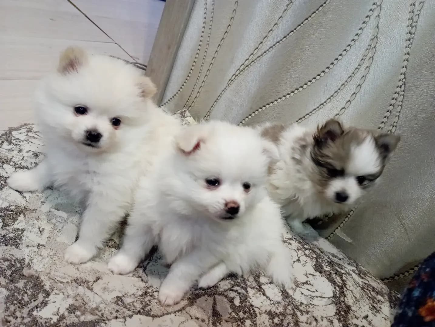 carousel-image-mobile-0