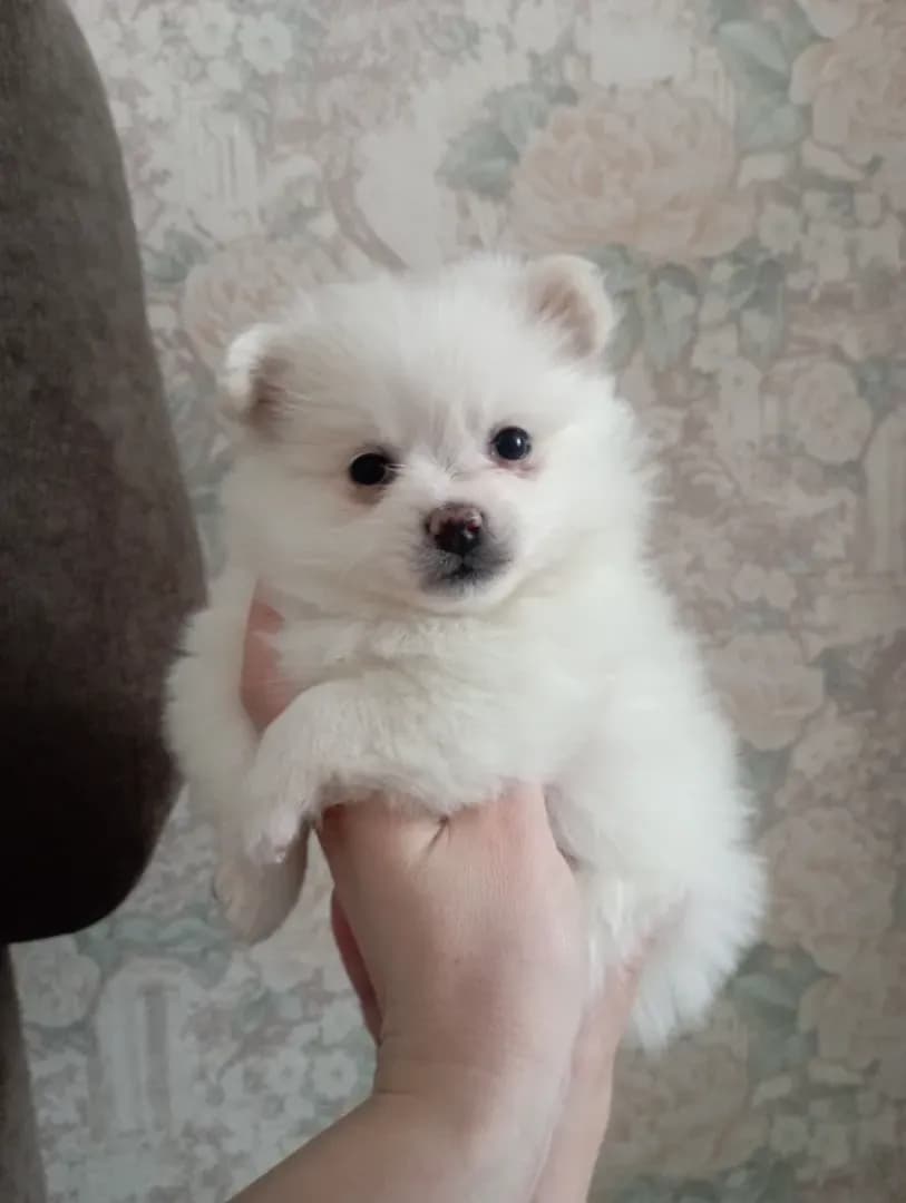 carousel-image-mobile-2