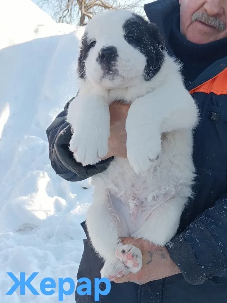 carousel-image-mobile-0