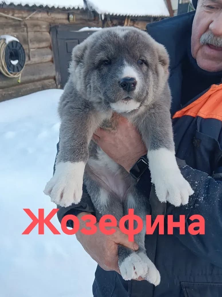 carousel-image-mobile-1