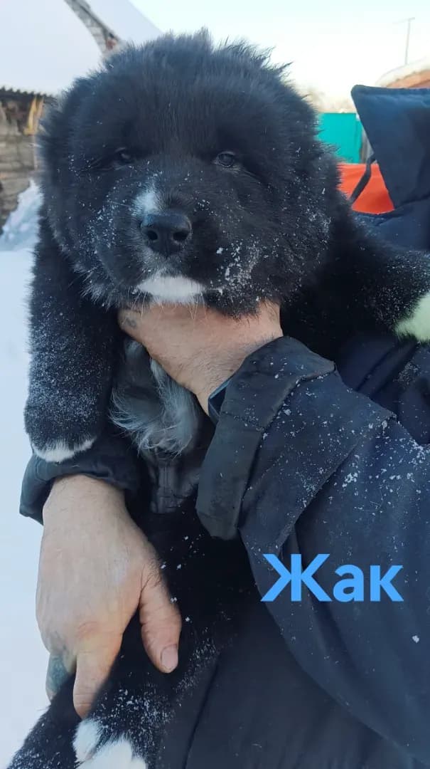 carousel-image-mobile-2