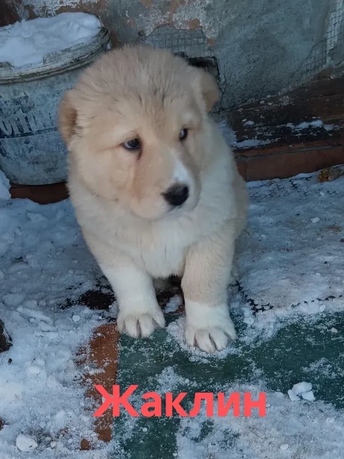 carousel-image-mobile-3