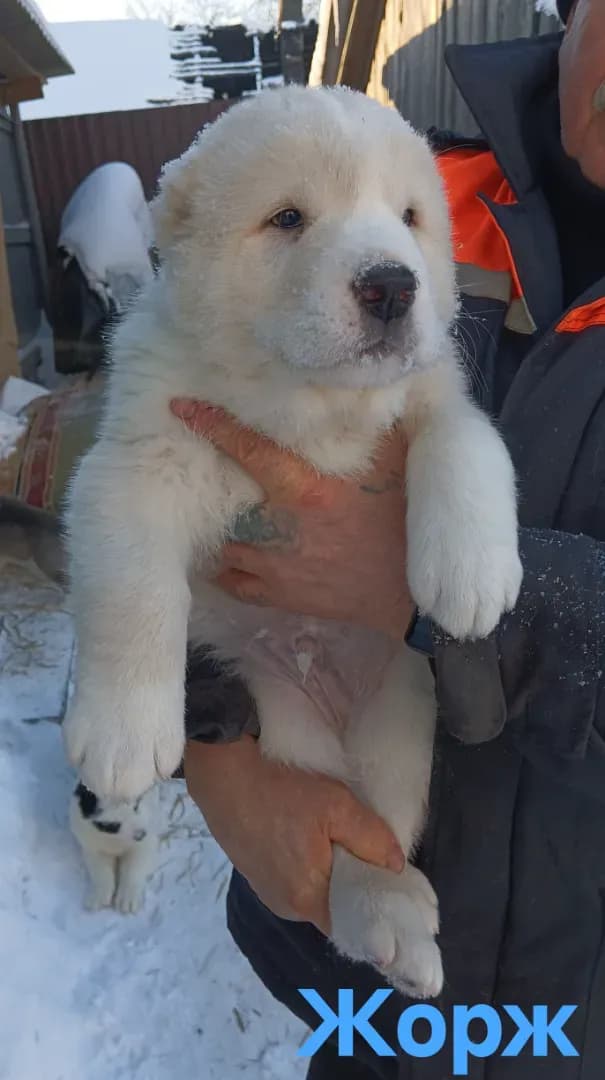 carousel-image-mobile-4