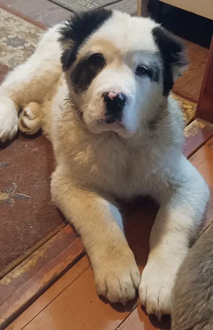 carousel-image-mobile-1