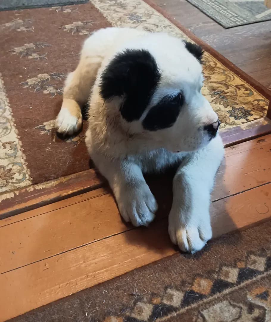 carousel-image-mobile-2