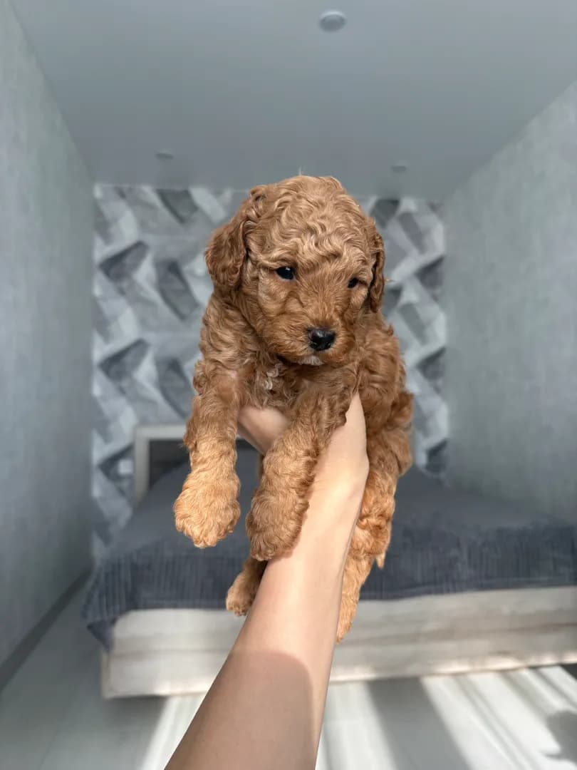 carousel-image-mobile-0