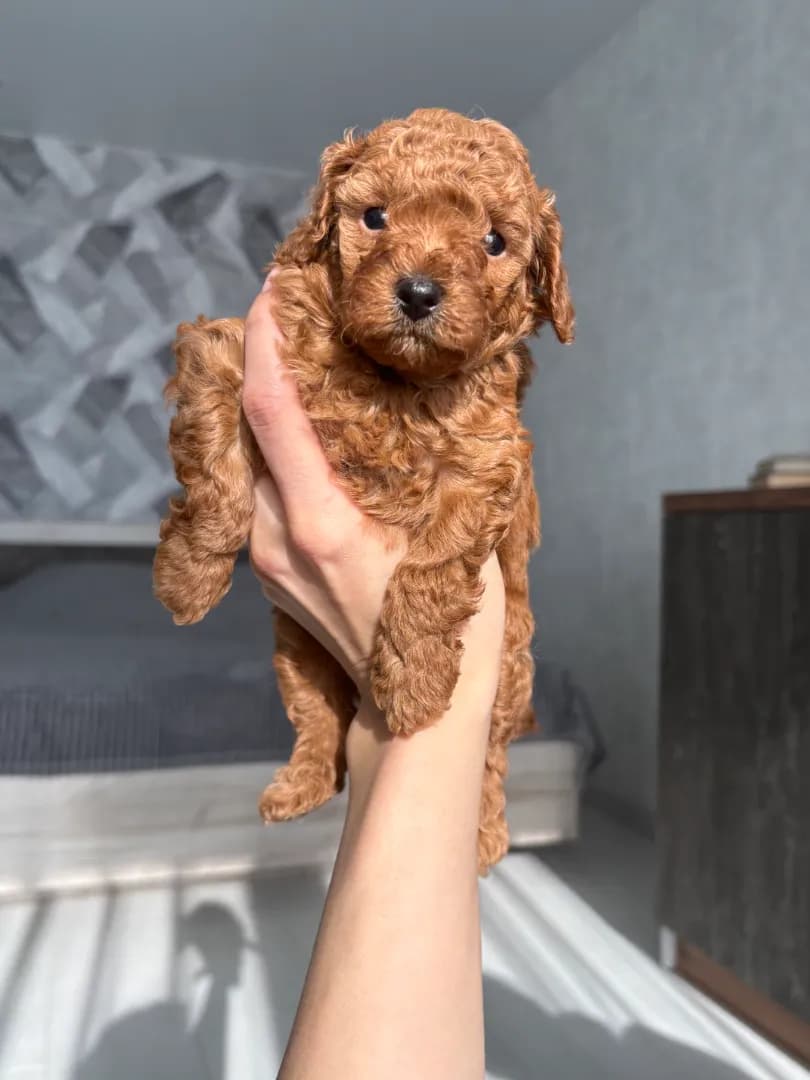 carousel-image-mobile-1