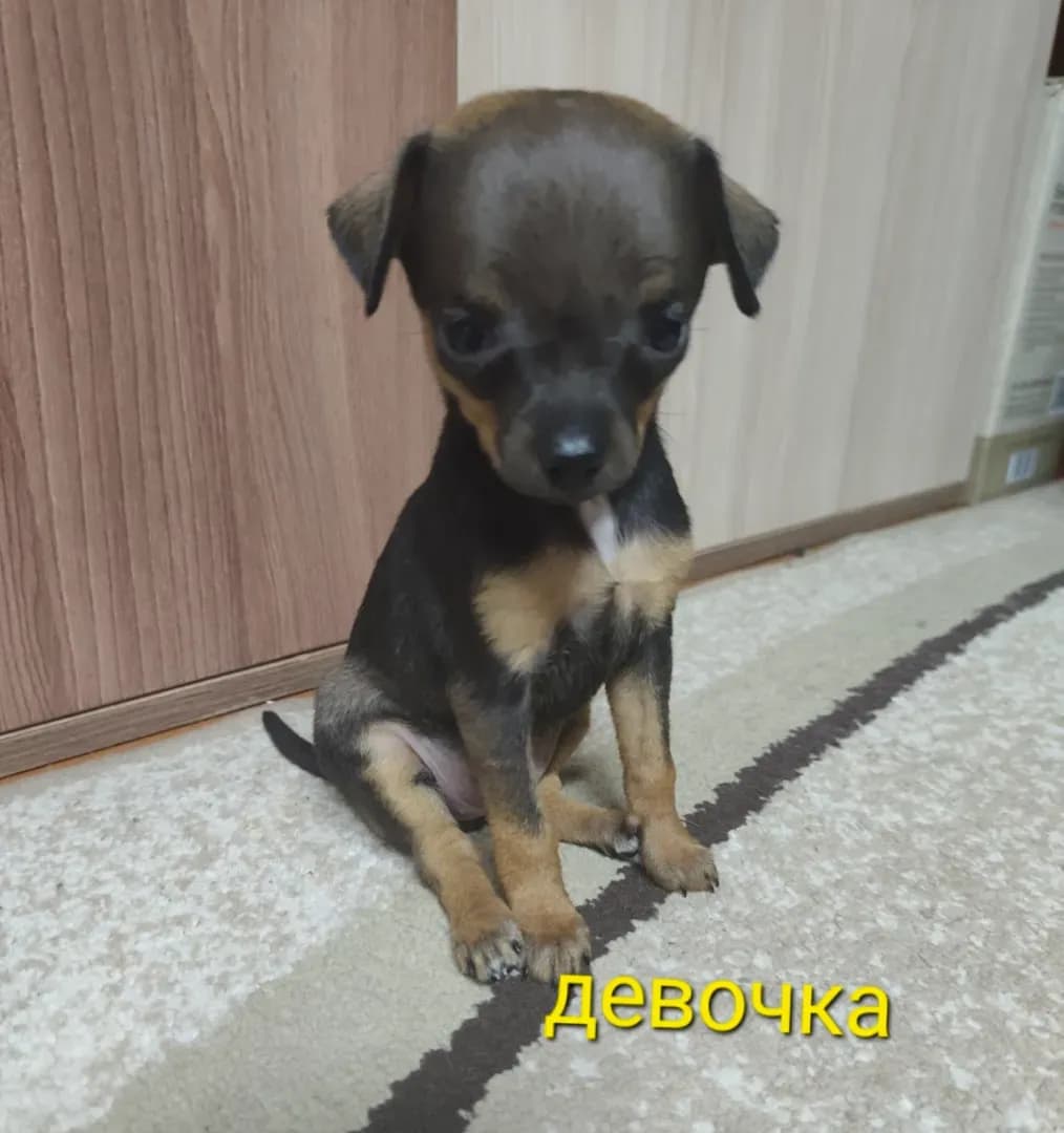 carousel-image-mobile-0