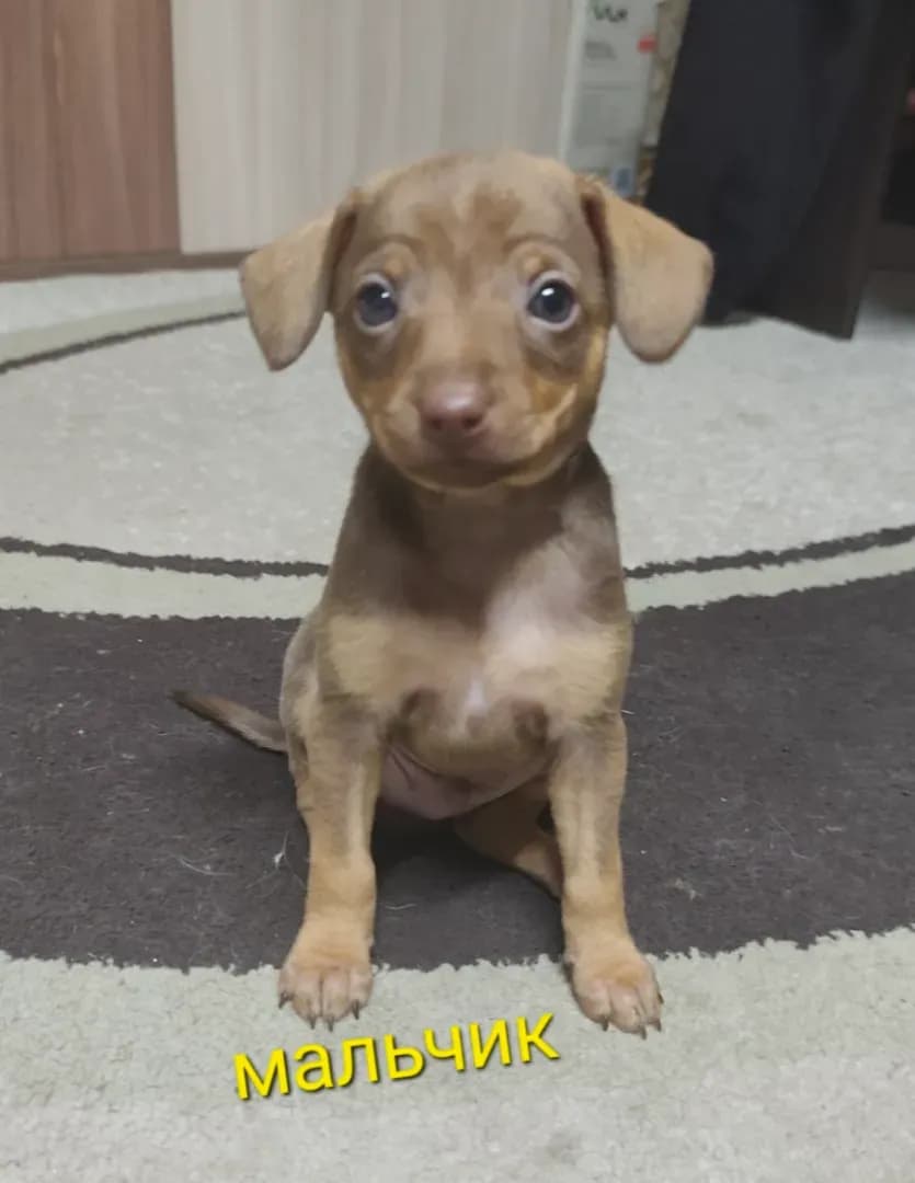 carousel-image-mobile-1