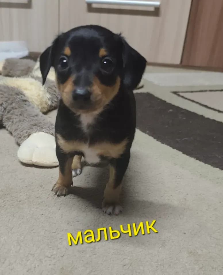 carousel-image-mobile-2