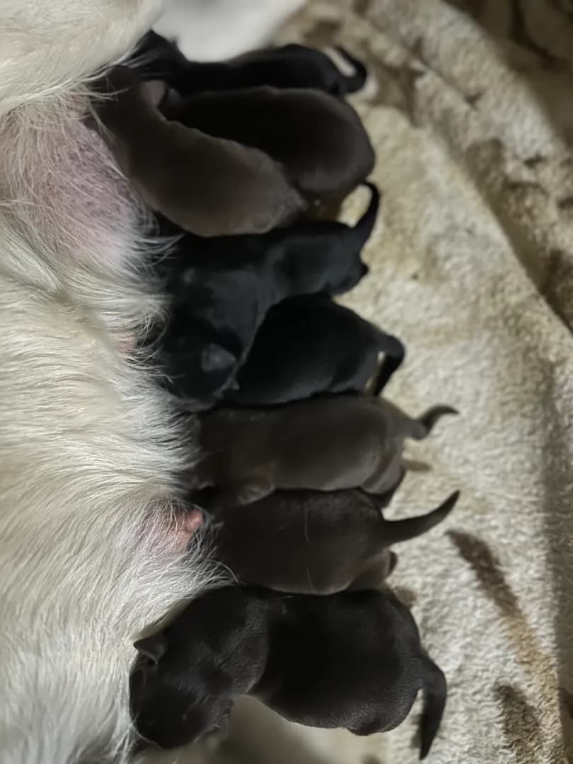 carousel-image-mobile-0