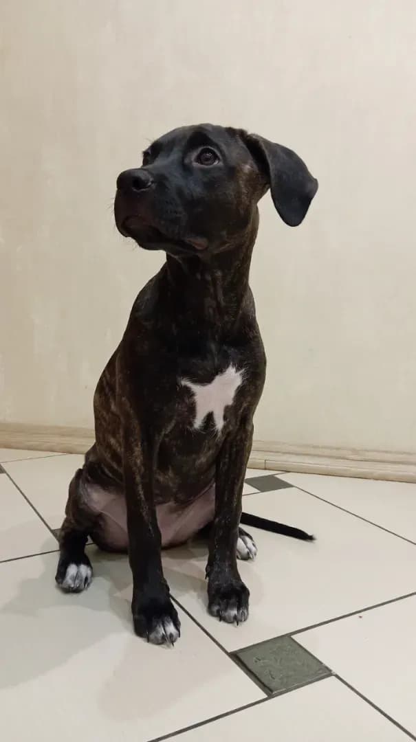 carousel-image-mobile-0