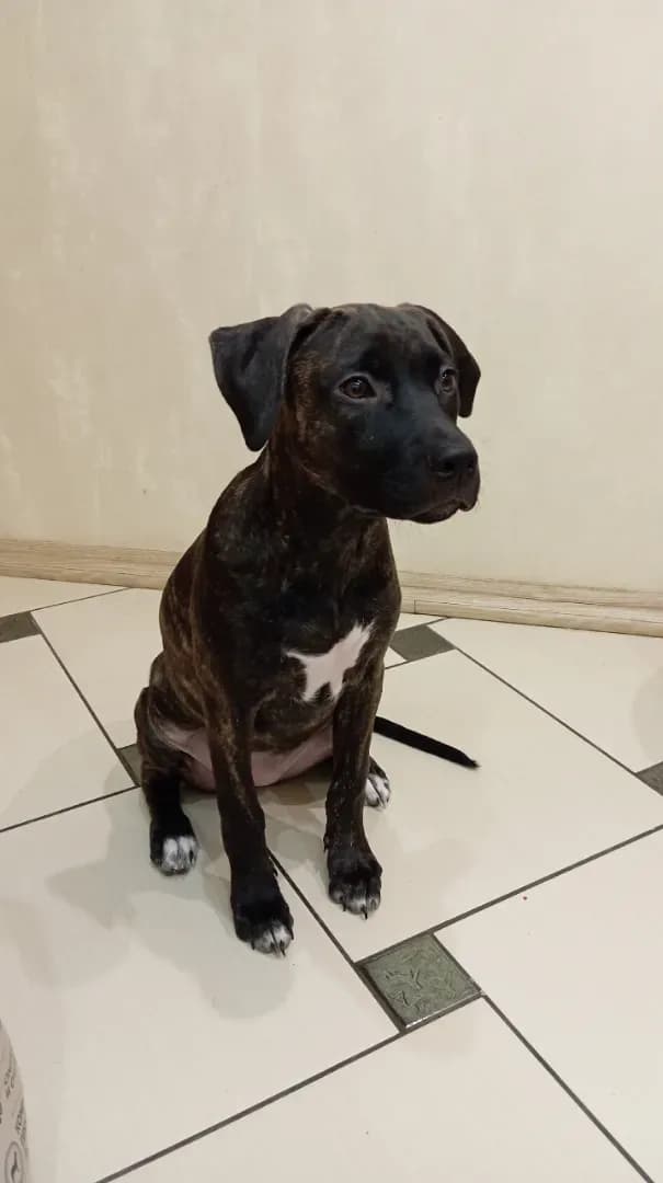 carousel-image-mobile-1