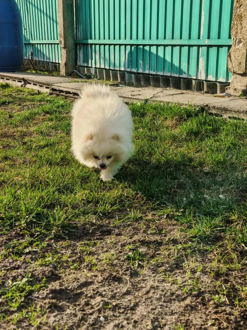 carousel-image-mobile-1