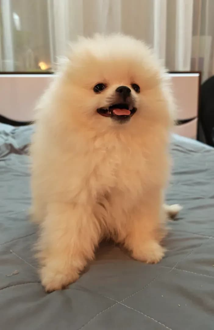 carousel-image-mobile-3