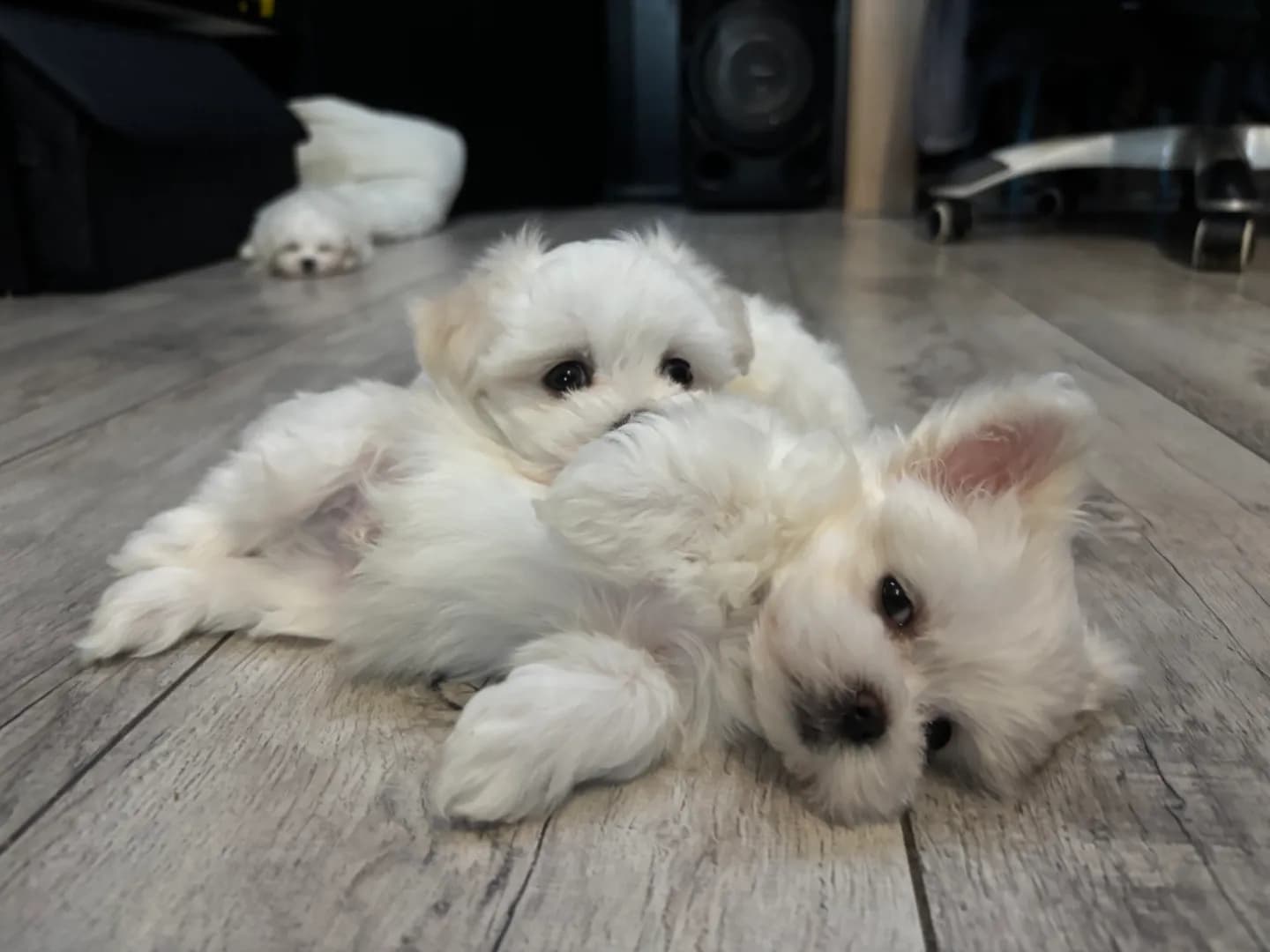 carousel-image-mobile-3